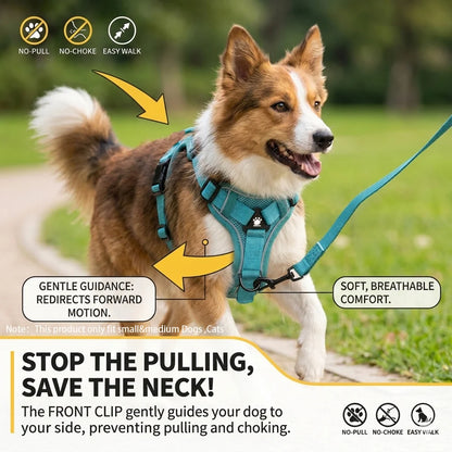 PawTrail Comfort™ – Safer Walks, Happier Adventures