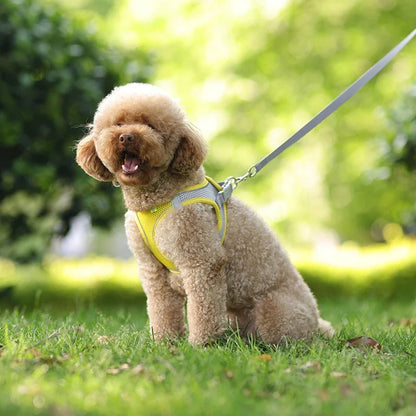 ComfortPaws Harness Set – Adjustable Dog & Cat Walking Harness
