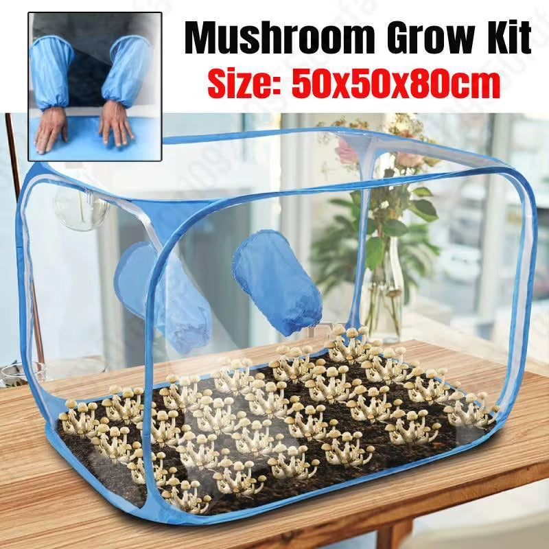 Mushroom Growing Tent Kit Mycology Still Air Box Mycology Fume Hood